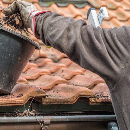 Gutter Cleaning in Frisco, TX